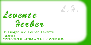 levente herber business card